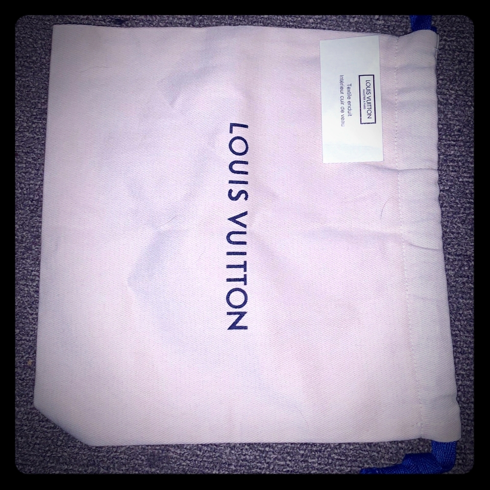 Louis Vuitton cloth bag